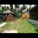 Rechts die langen Kokosfasern, links der nicht für Seile verwendbare Rest